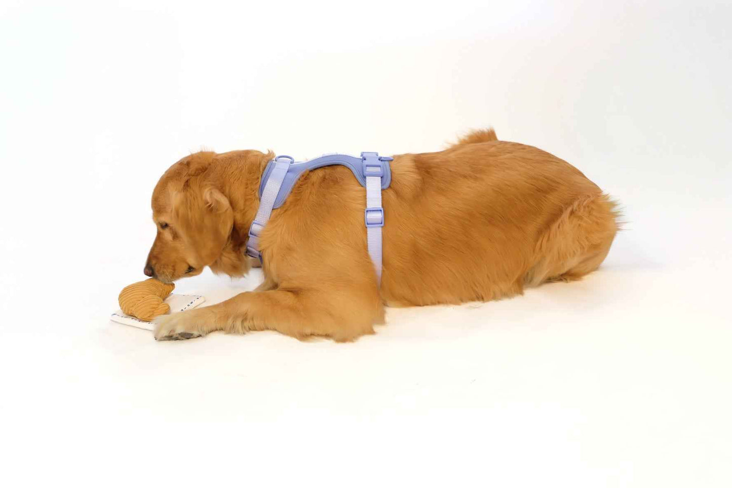 Croissant Nose Work Toy / Enrichment Toy with brown dog