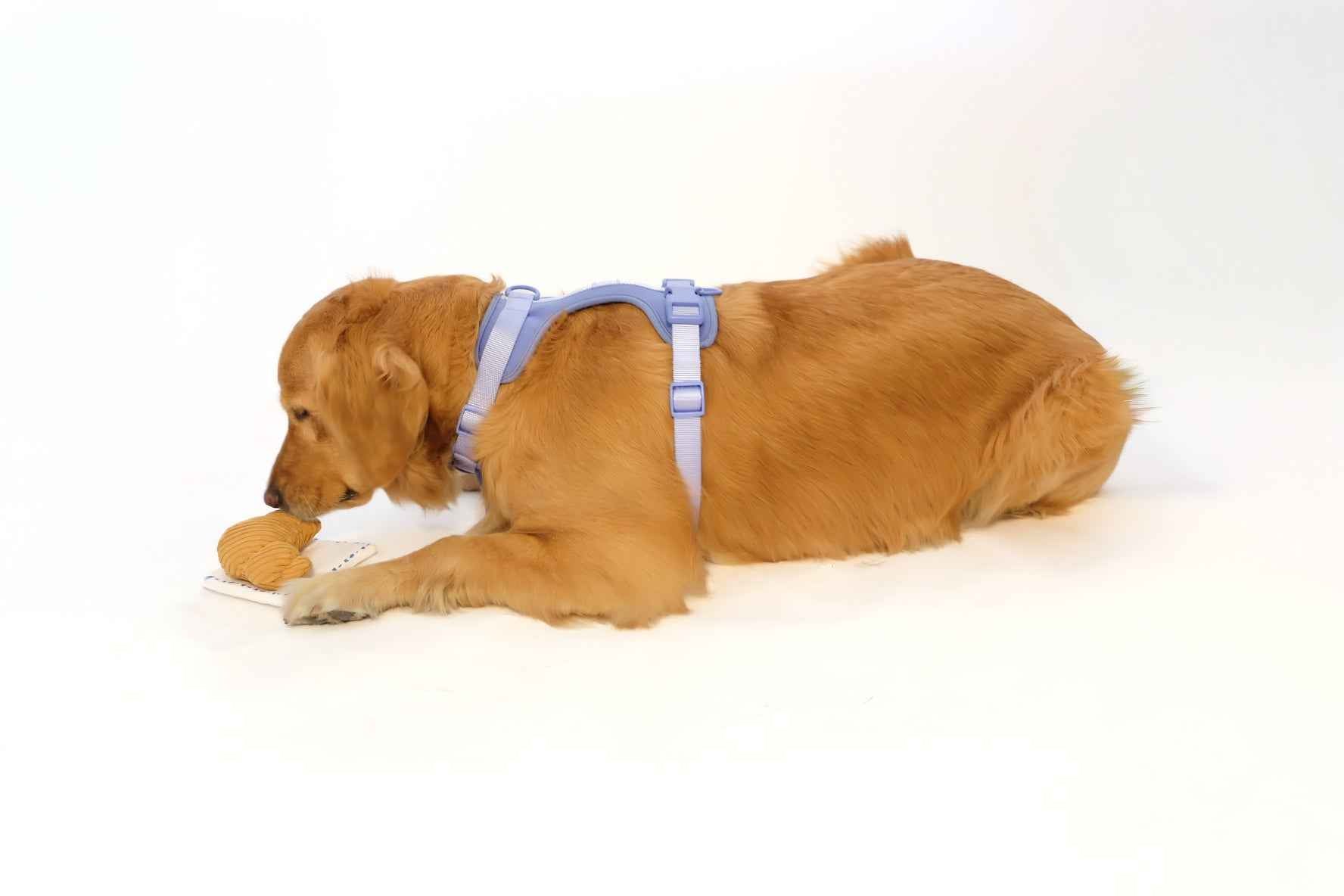 Croissant Nose Work Toy / Enrichment Toy with brown dog