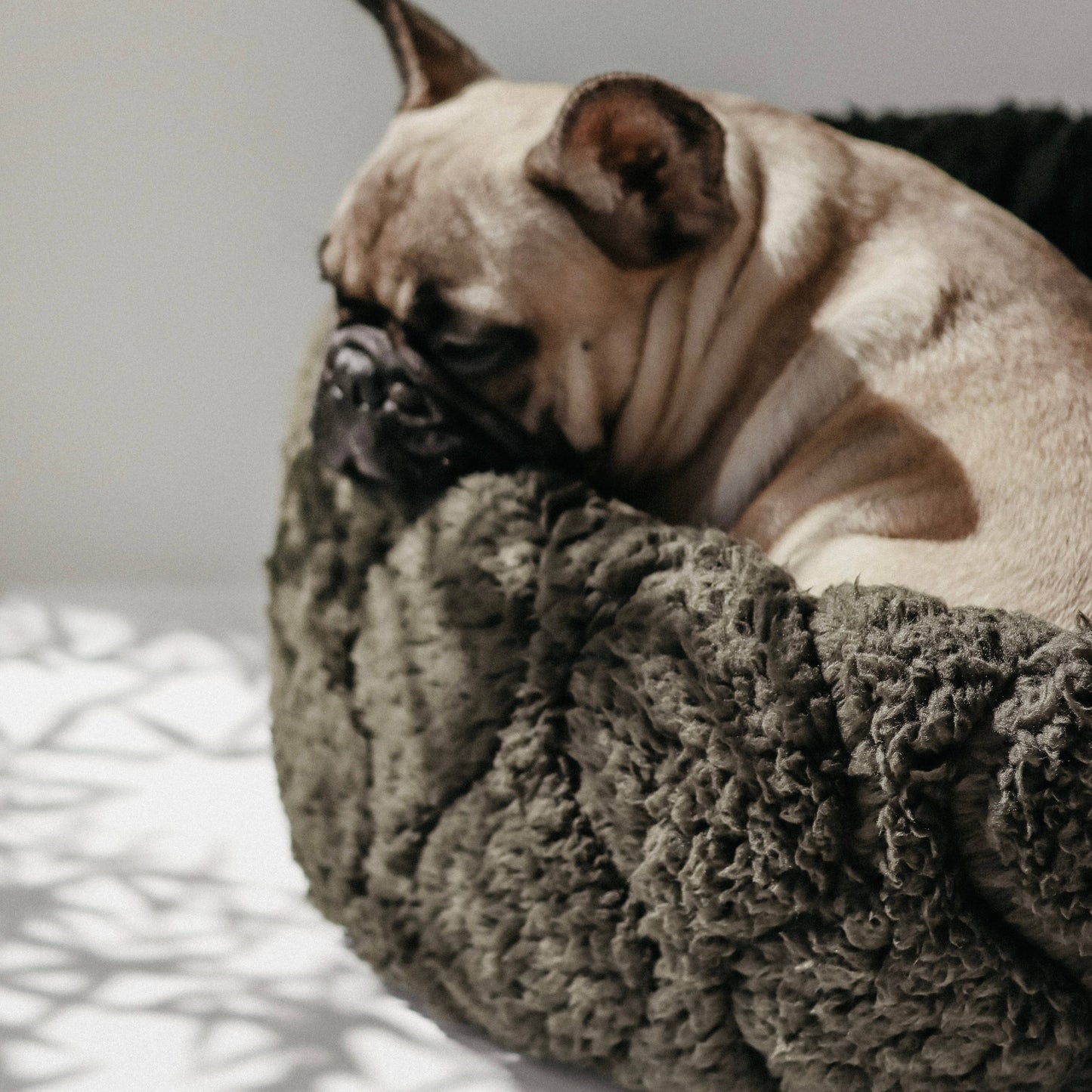 Taart Small Breed Dog Bed in Plum, Fern, & Camel
