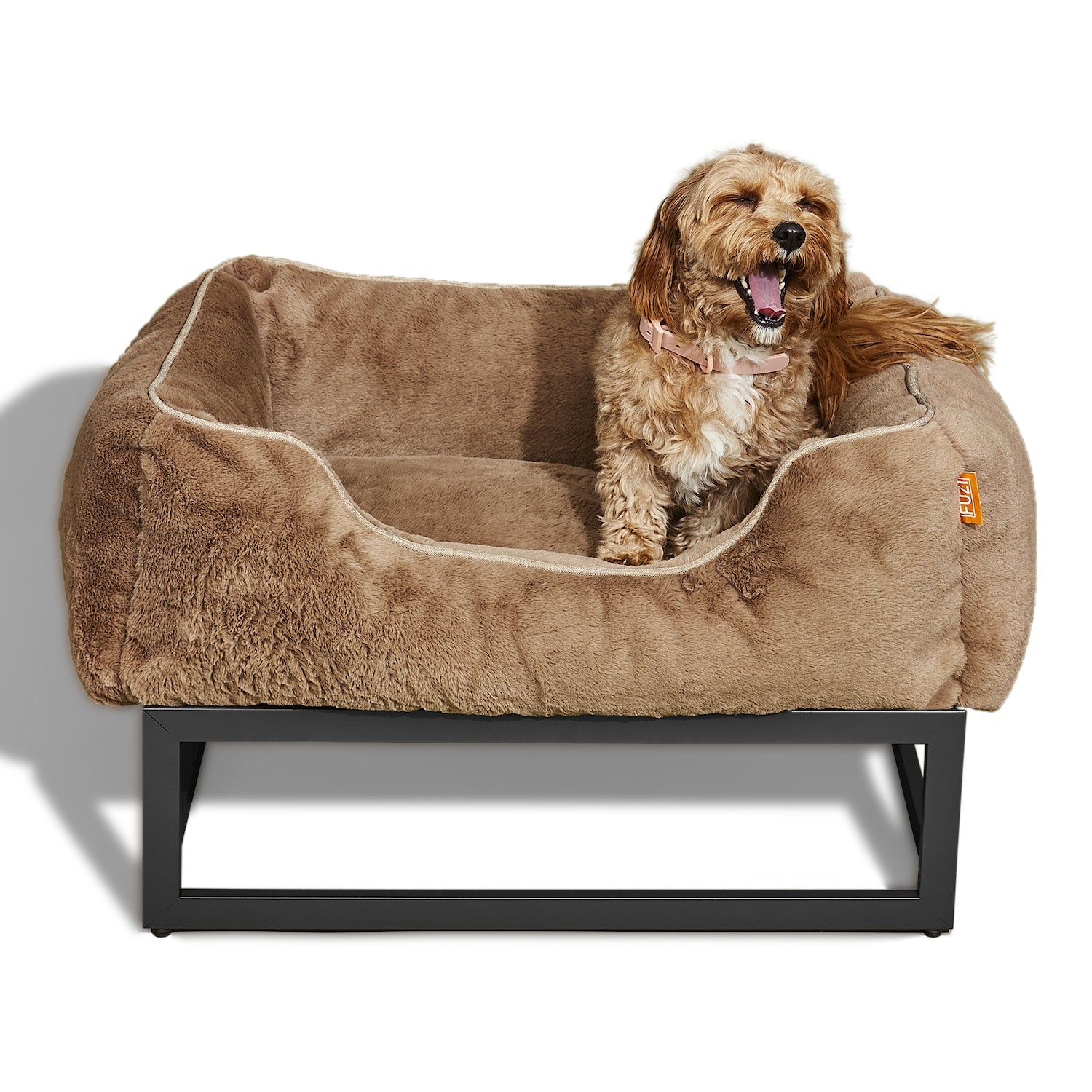 Dog sitting on a brown pet bed with a white background