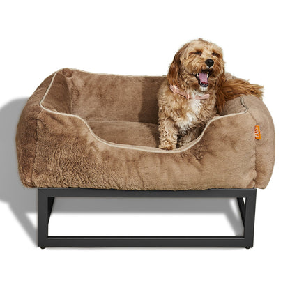 Dog sitting on a brown pet bed with a white background