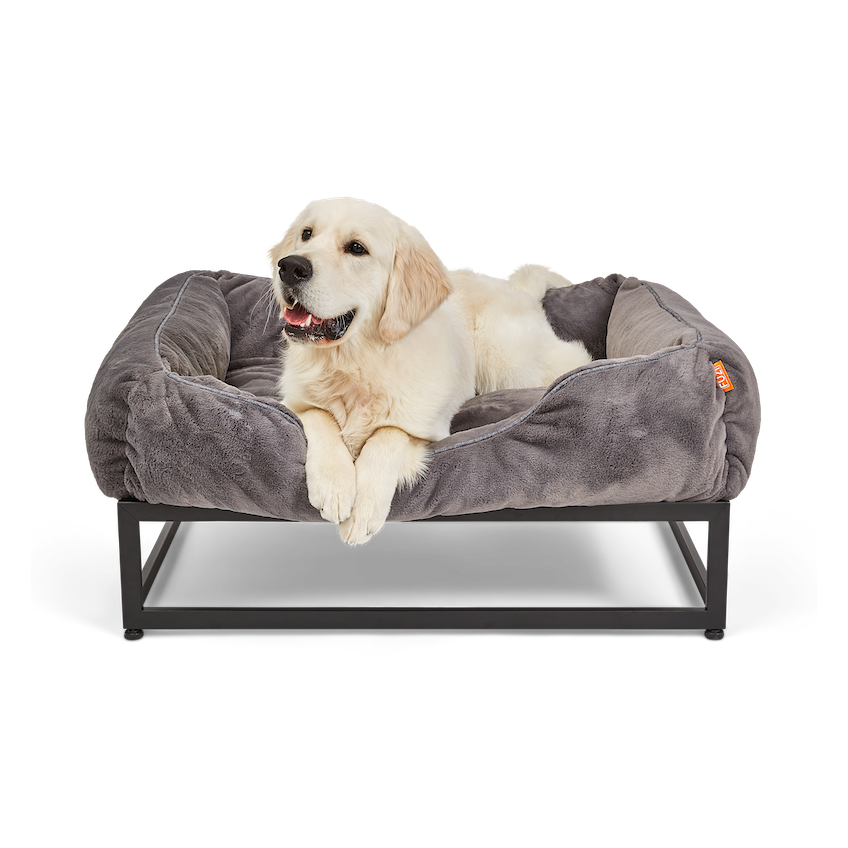 Dog lying on a gray pet bed with a white background