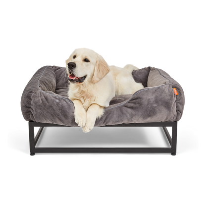 Dog lying on a gray pet bed with a white background