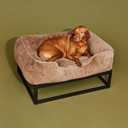 Dog lying on a brown pet bed against a green background