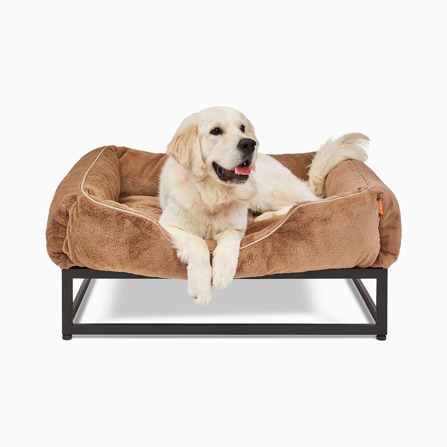 Dog lying on a brown pet bed with a white background
