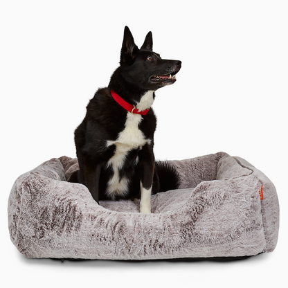 The Sammy Dog Bed with black and white dog