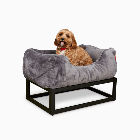 Dog sitting on a gray pet bed with a black frame on a white background