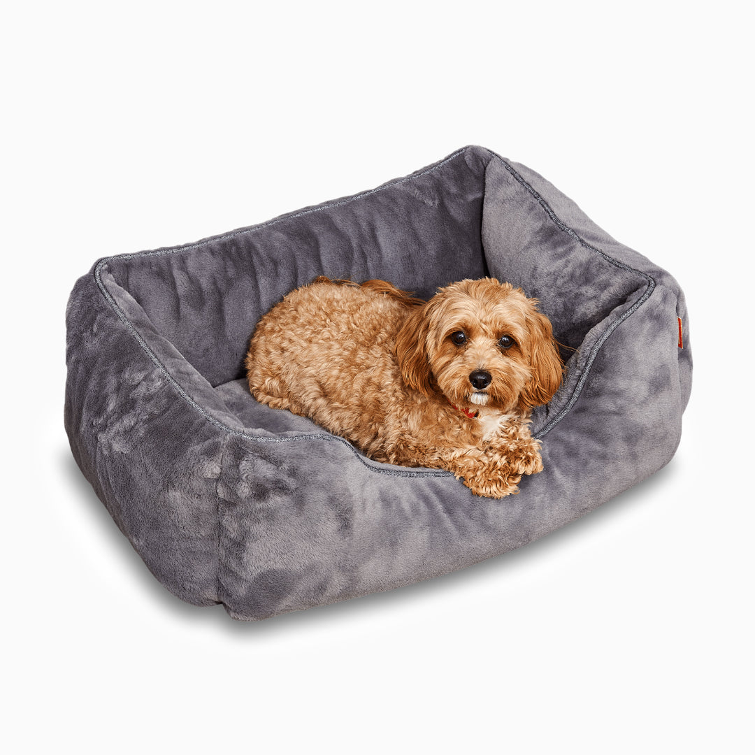 Dog lying on a gray pet bed against a white background