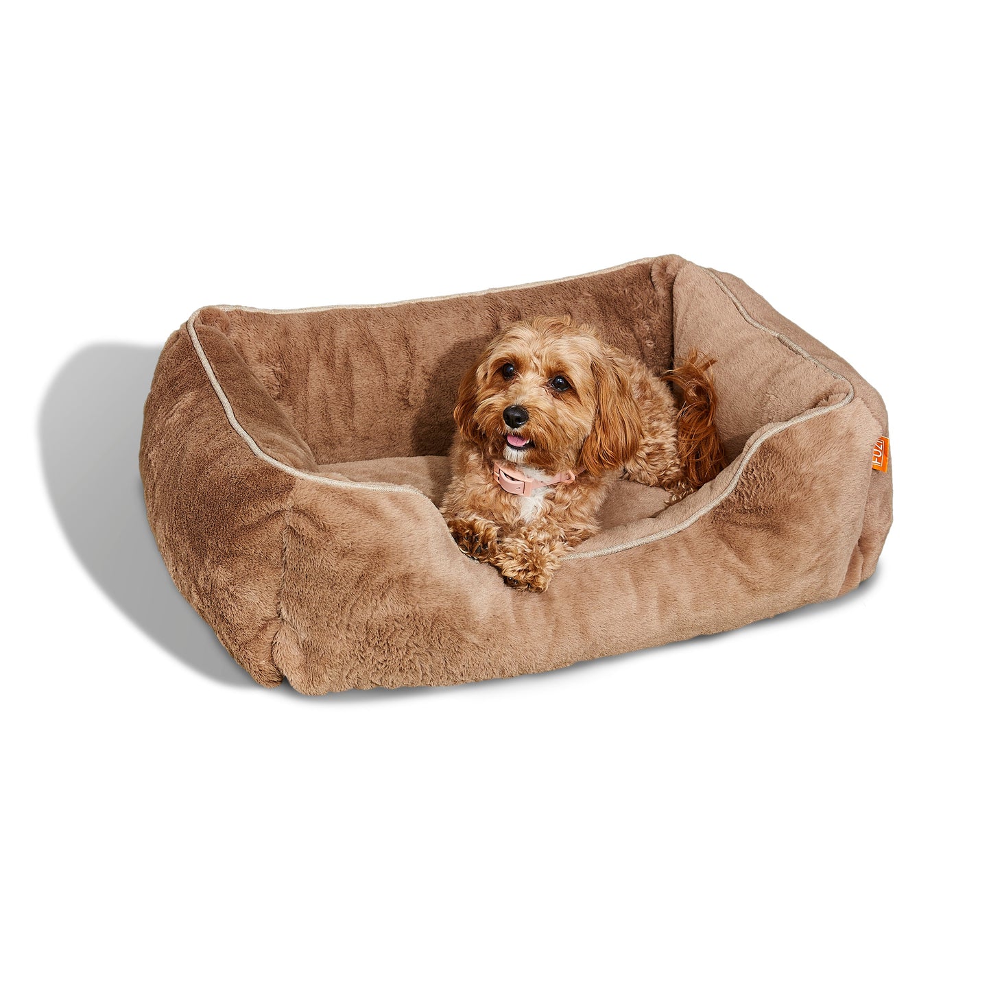 Dog lying on a brown plush dog bed against a white background