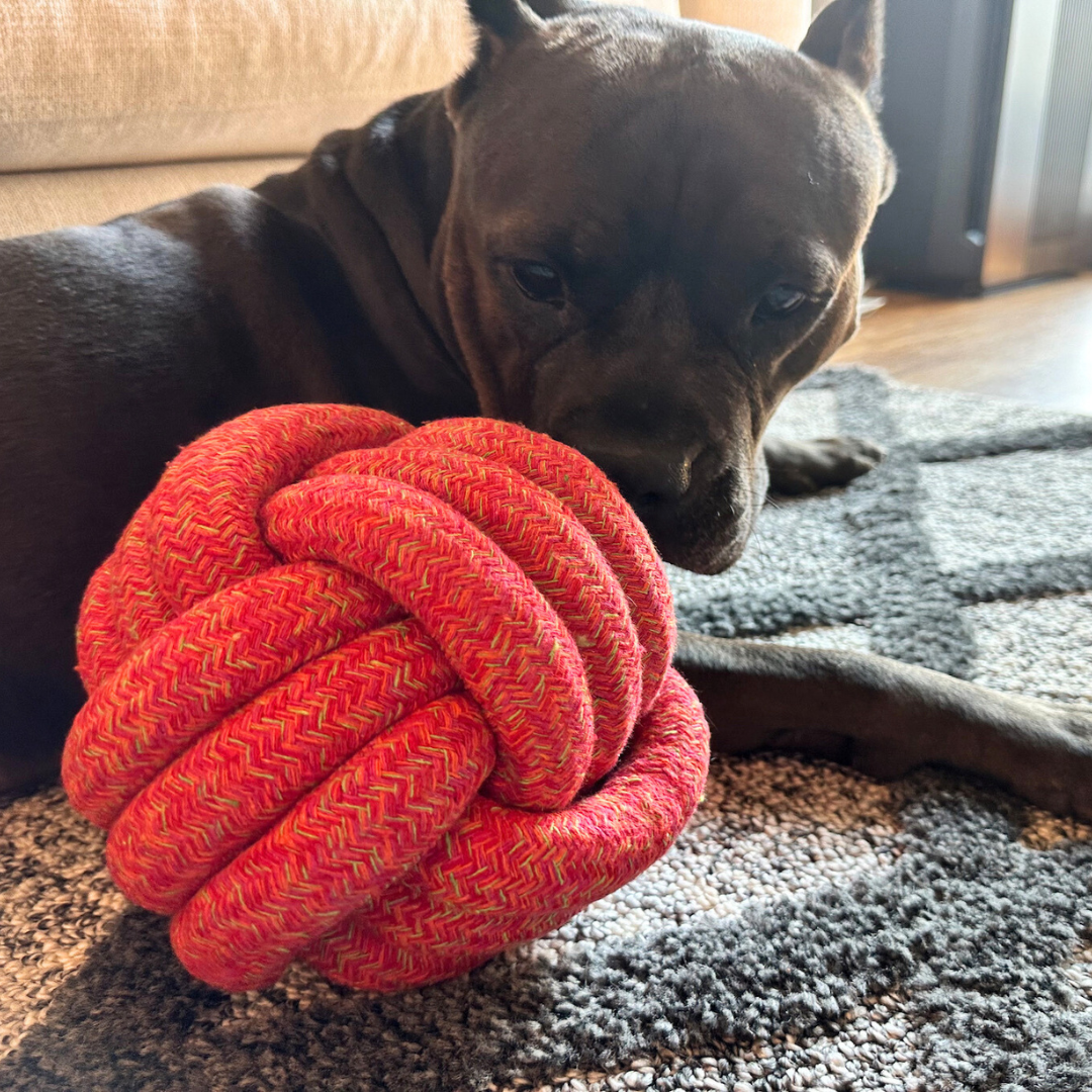 Big Paw Jumbo Ball Dog