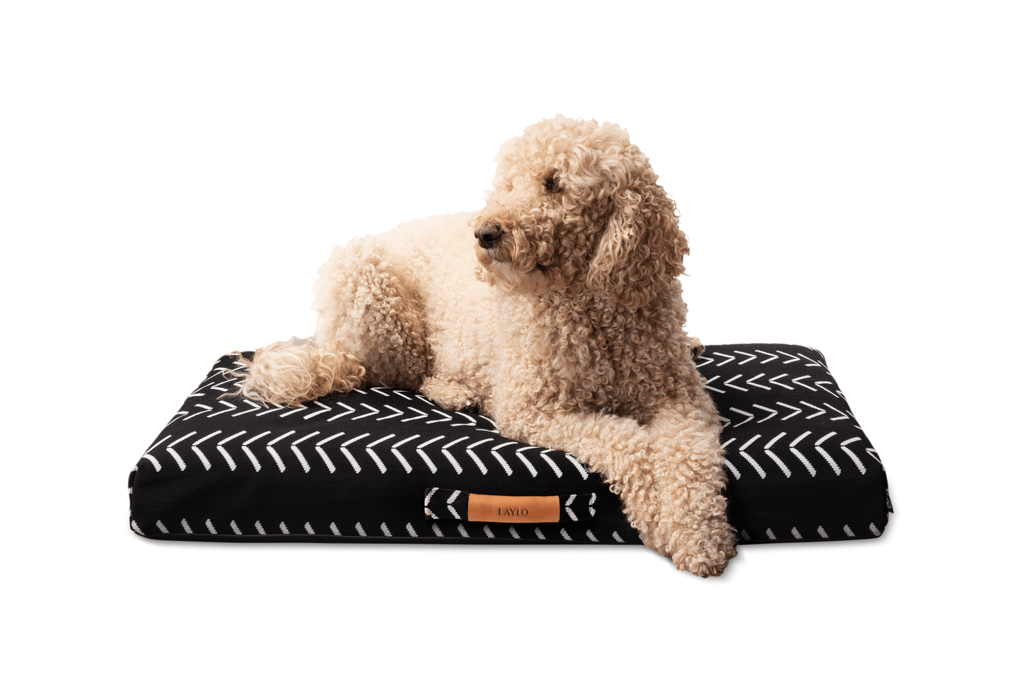 Black Chevron Orthopedic Dog Bed Dog