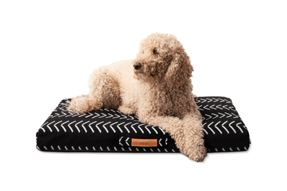 Black Chevron Orthopedic Dog Bed Dog