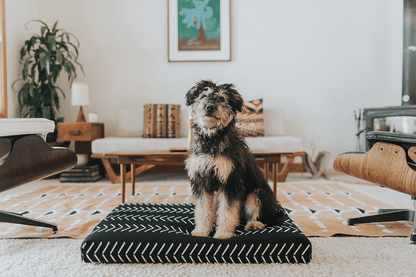 Black Chevron Orthopedic Dog Bed Dog