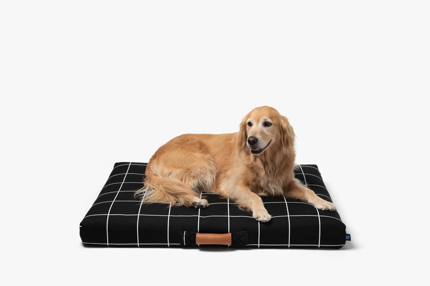 Black Grid Orthopedic Dog Bed Dog