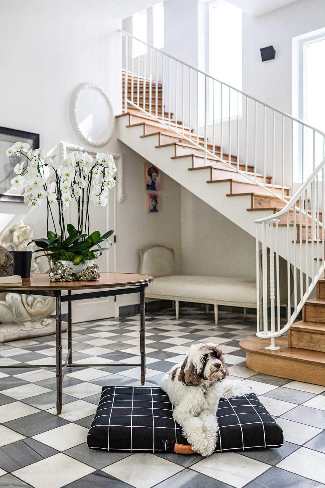 Black Grid Orthopedic Dog Bed Dog in Foyer