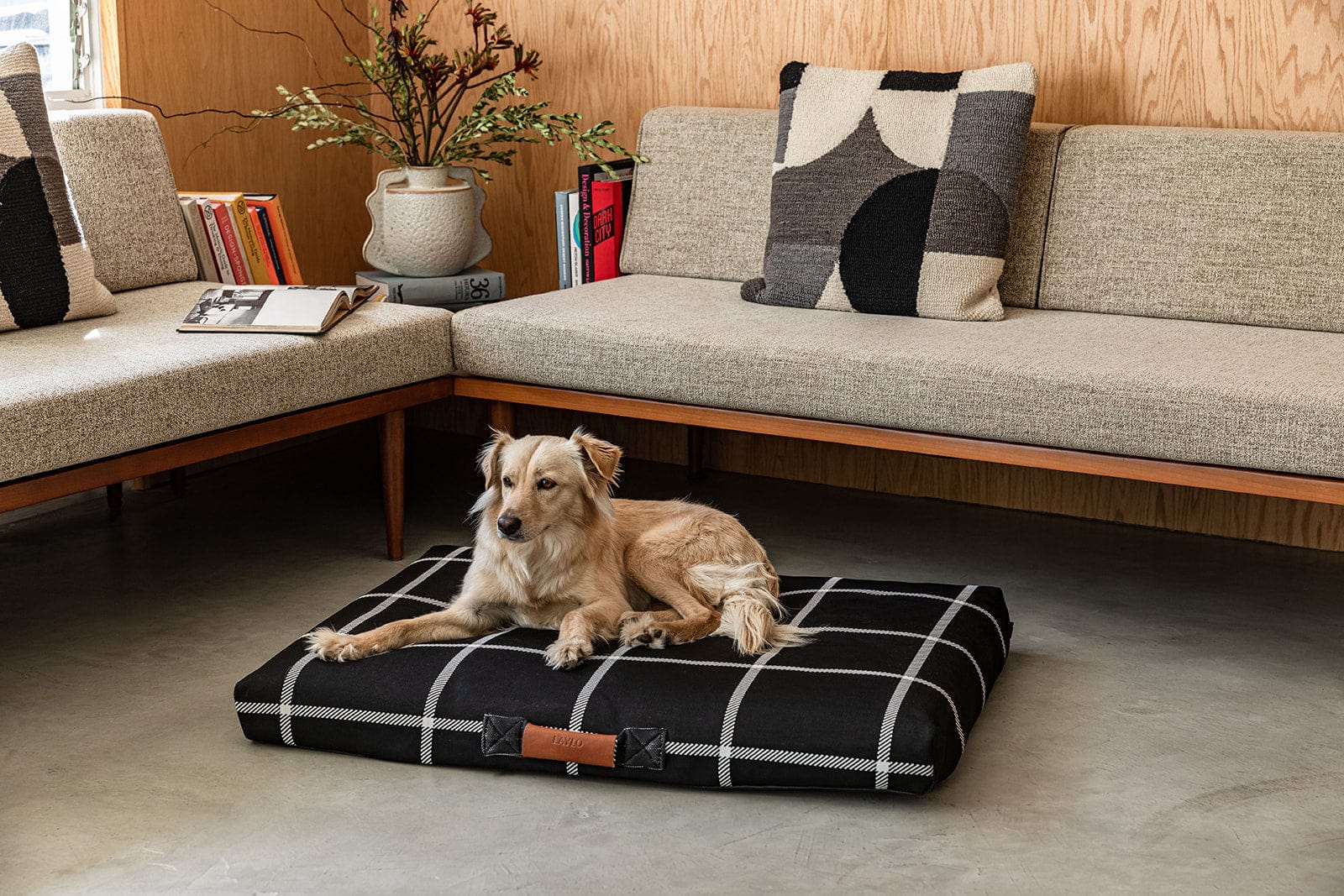 Black Plaid Orthopedic Dog Bed Dog 2