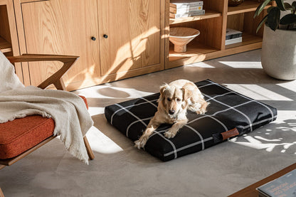 Black Plaid Orthopedic Dog Bed Dog