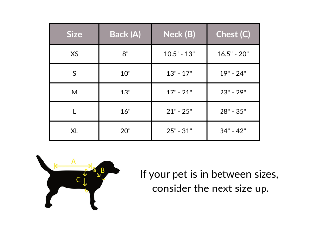 Body Glove Neoprene Dog Life Jacket in Teal & Yellow