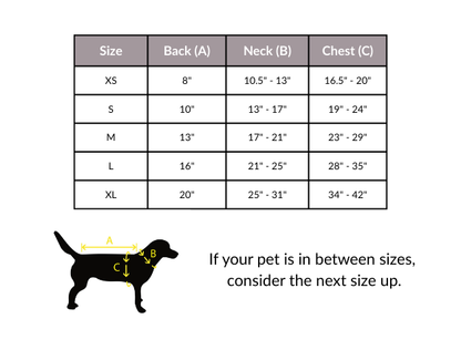 Body Glove Neoprene Dog Life Jacket in Teal & Yellow