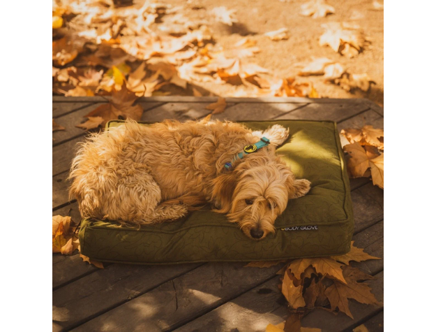 Body Glove Paintflower Eco Canvas Dog Napper (3 Color Options)