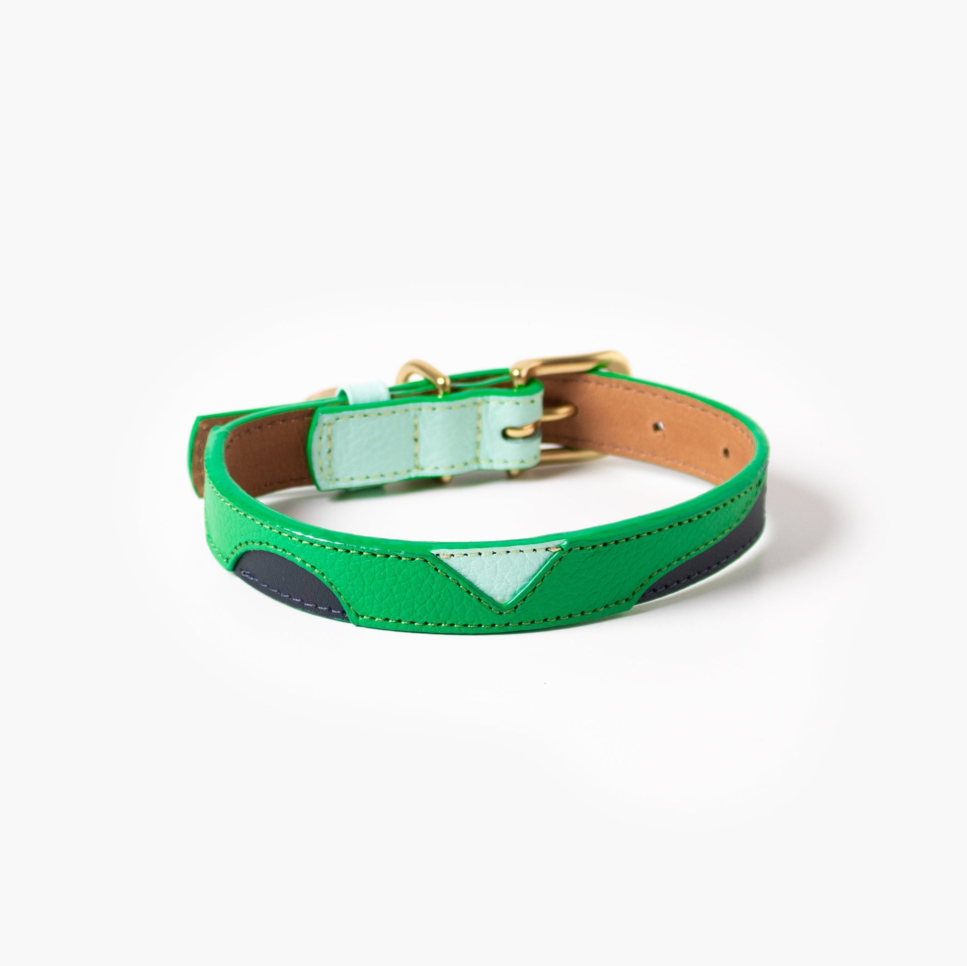 Green dog collar with a gold buckle on a white background
