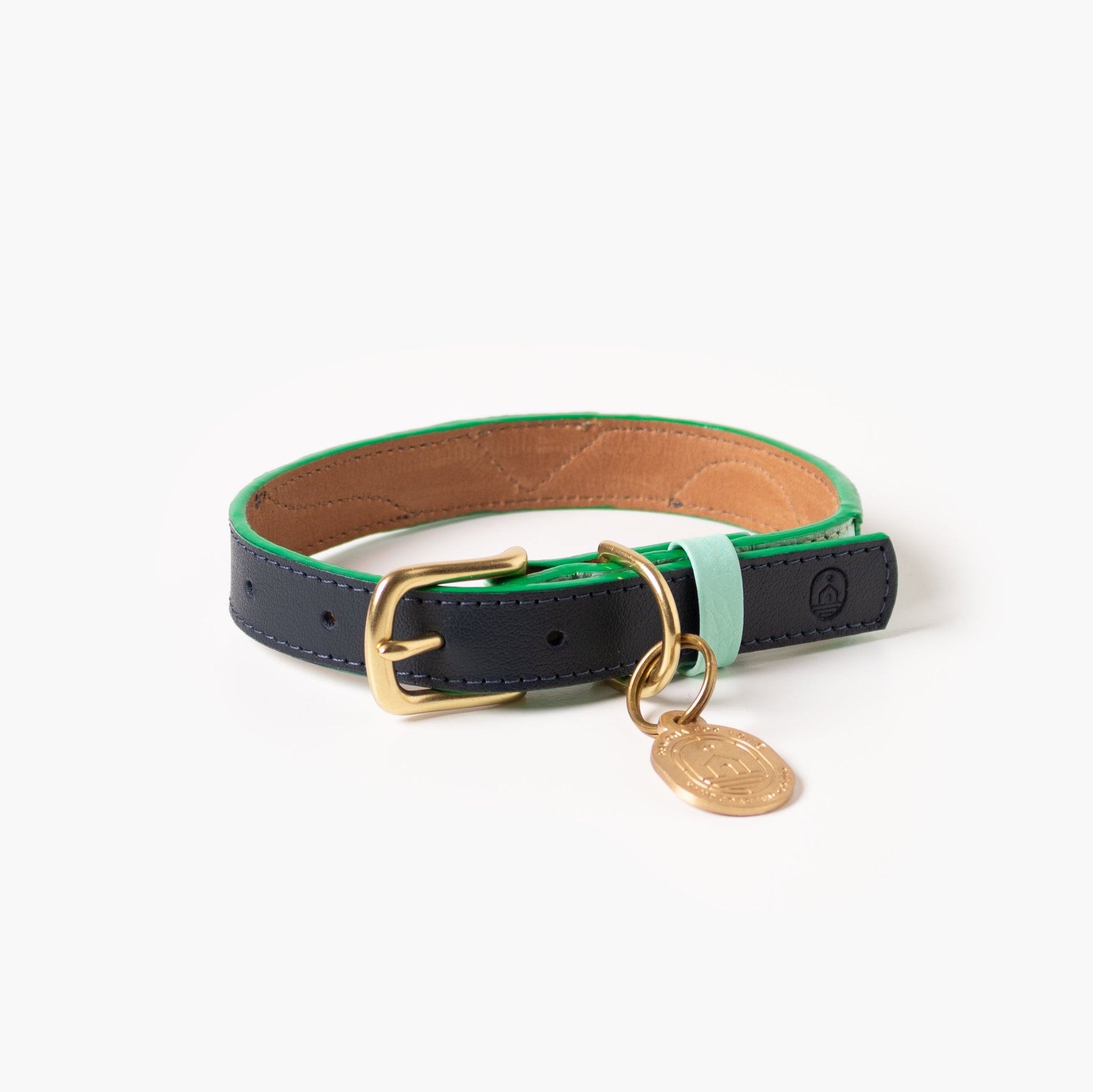 Dog collar with green and navy leather, gold buckle, and tag on a white background