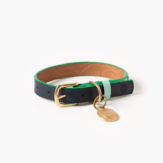 Dog collar with green and navy leather, gold buckle, and tag on a white background