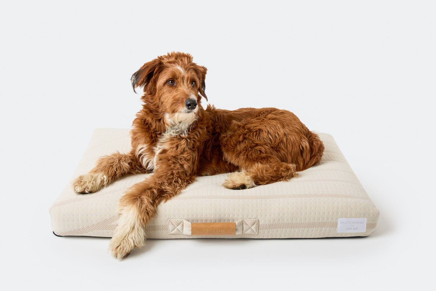 Brigette Romanek Cream Dog Bed Dog
