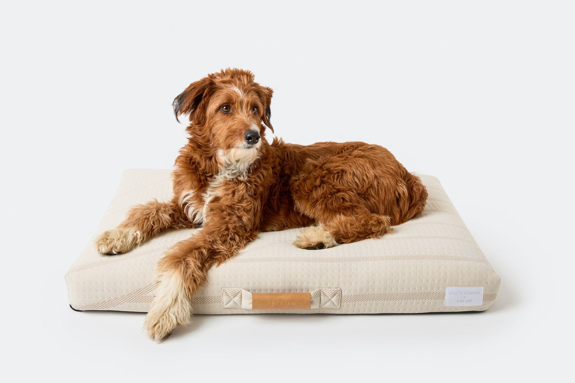 Brigette Romanek Cream Dog Bed Dog