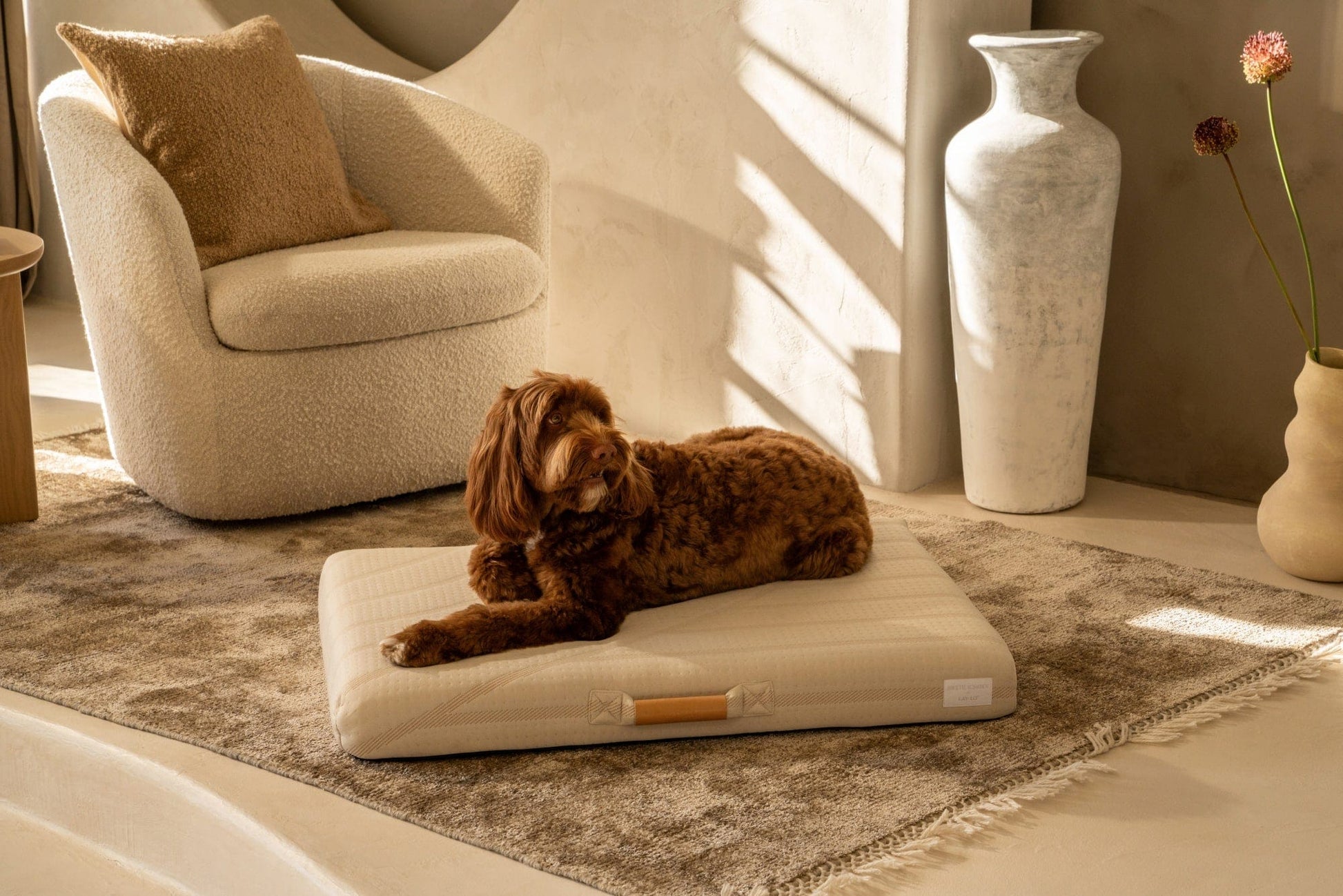 Brigette Romanek Cream Dog Bed Dog