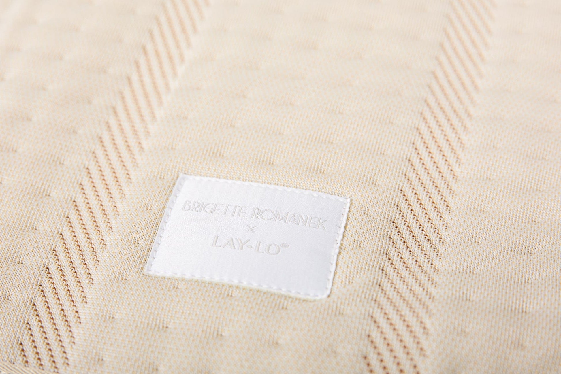 Brigette Romanek Luxury Pet Throw Blanket in Cream Close Up