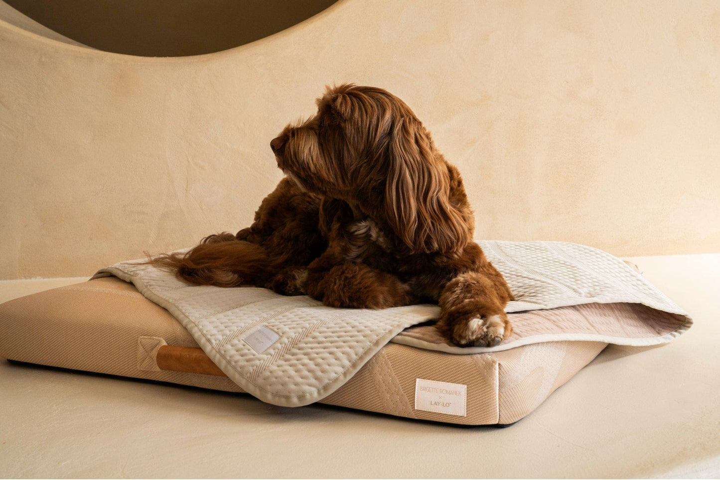 Brigette Romanek Luxury Pet Throw Blanket in Cream Dog