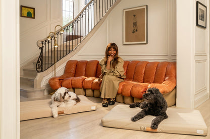 Brigette Romanek Luxury Pet Throw Blanket in Taupe Dogs & Designer