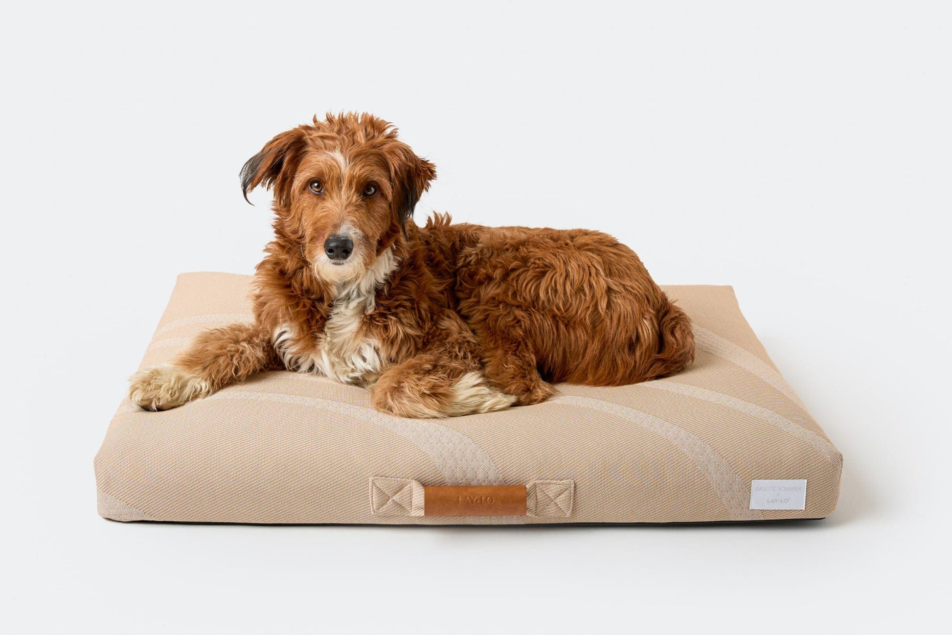 Brigette Romanek Taupe Orthopedic Dog Bed Dog