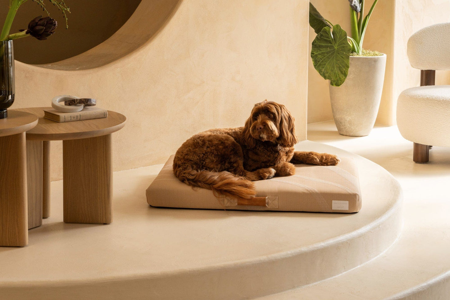 Brigette Romanek Taupe Orthopedic Dog Bed Dog