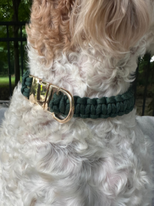 Cobra Braid Handmade Dog Collar - emerald green on white dog