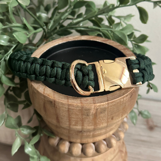 Green paracord dog collar with gold buckle on a wooden stand with plants in the background