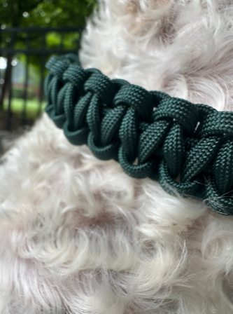 Cobra Braid Handmade Dog Collar - emerald green on white dog