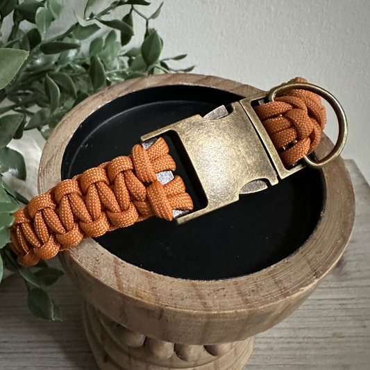 Dog collar with orange braided cord and brass buckle on a wooden stand with plant in background