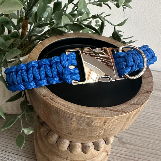 Royal blue cobra braid dog collar with silver buckle
