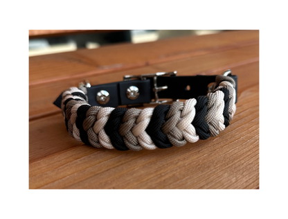 Dog collarwith braided design on a wooden surface