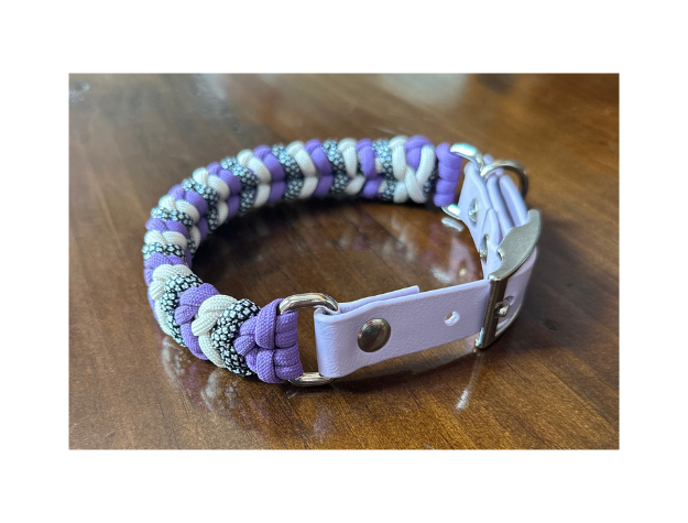 Multicolored braided dog collar with a metallic clasp on a wooden surface