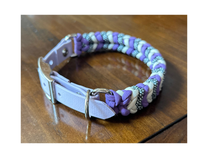Multicolored braided dog collar on a wooden surface