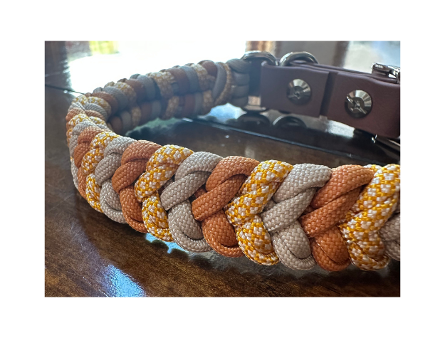 Braided dog collar with colorful pattern on a reflective surface