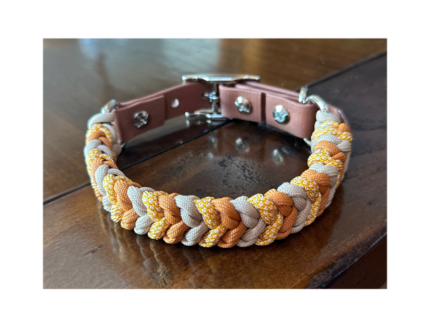 Dog collar with braided design on a wooden surface