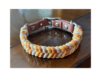 Dog collar with braided design on a wooden surface