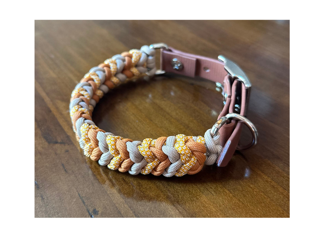 Dog collar with braided design on a wooden surface