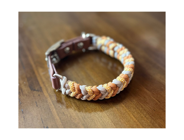 Dog collar with braided design on a wooden surface