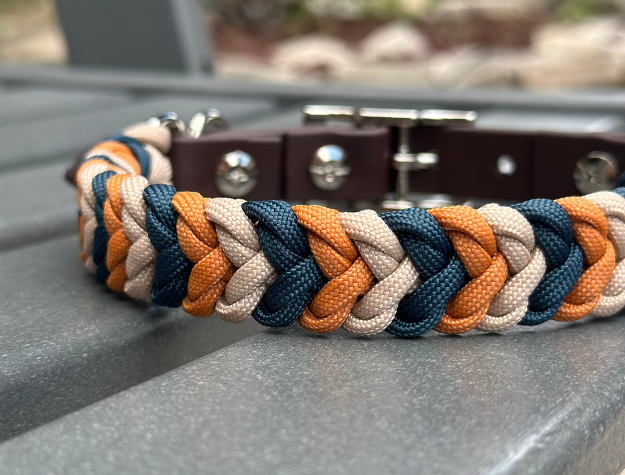 Multicolored braided dog collar on a vehicle's open door