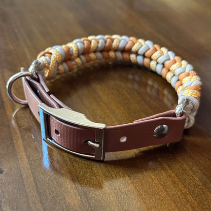 Dog collar with braided design and leather strap on a wooden surface